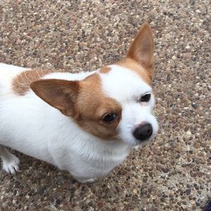 Meet your Posher, Brandy